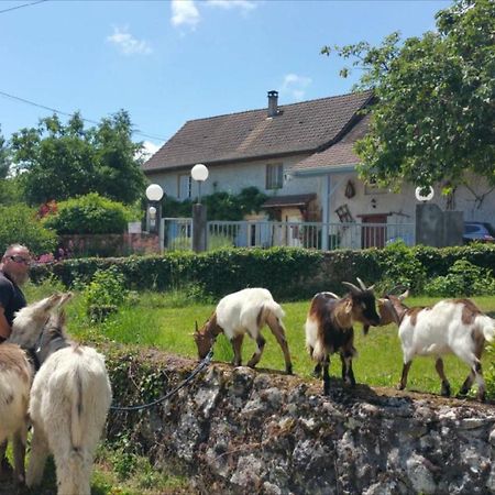 Bed and Breakfast Basse-Cour De Montin Au 256 Chemin De La Rocaille A 38510 Vezeronce Curtin Morestel Экстерьер фото